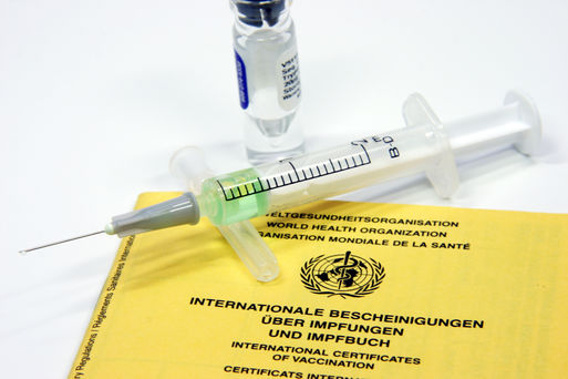 Bild vergrößern: Impfausweis mit Spritze und Impfstoff