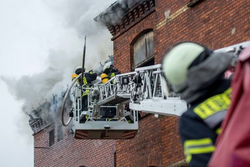 Bild vergrößern: Feuerwehr bei Grobrand Rotehornpark in Magdeburg