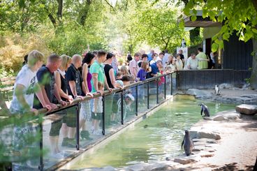 Bild vergrößern: Zoo Magdeburg