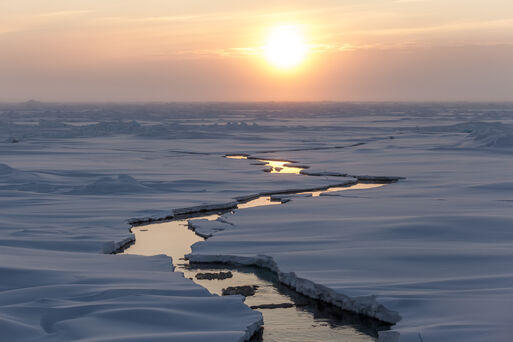 Bild vergrößern: Blick auf Arktisches Meereis