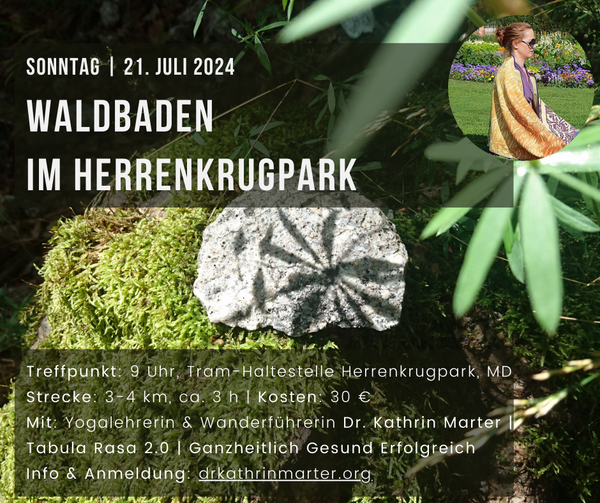 Bild vergrößern: 2024_07_21 Waldbaden Herrenkrugpark