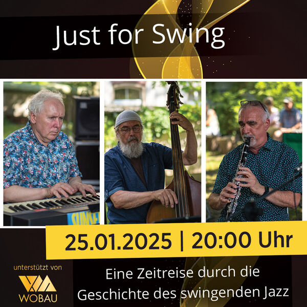 2025_01_25_Just_for_Swing