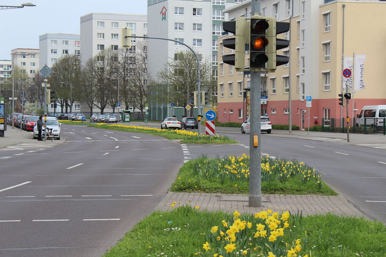 Frühblüher in der Jakobstraße