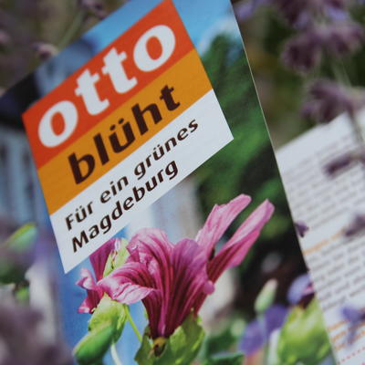 Bild vergrößern: Otto Blht - Flyer