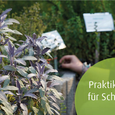 Bild vergrößern: Praktikum fr Schler