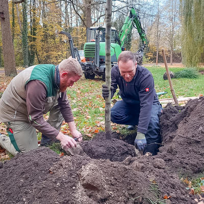 Bild vergrößern: Baumpflanzungen der Aktion "Mein Baum fr Magdeburg" auf dem Westfriedhof