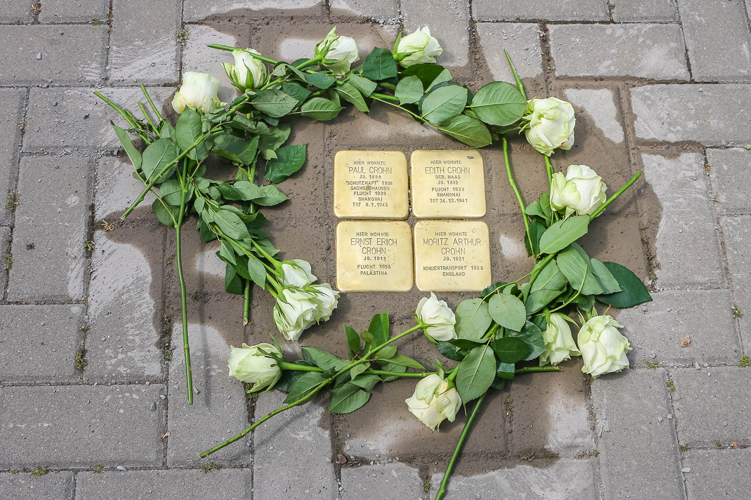 30 Neue Stolpersteine Für Magdeburger Stadtgebiet / Landeshauptstadt ...