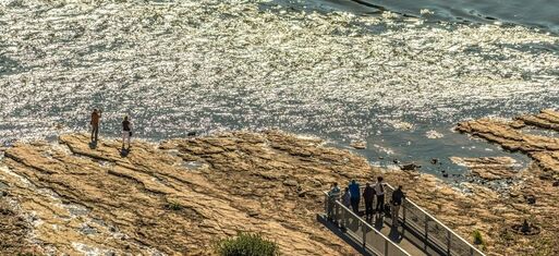 Die Elbe Vernissage