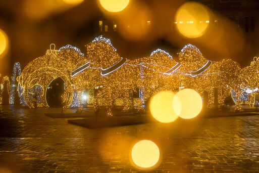 Bild vergrößern: Lichterpferde auf dem Domplatz