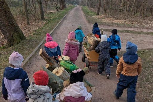 Spielmaterial aus dem Wald